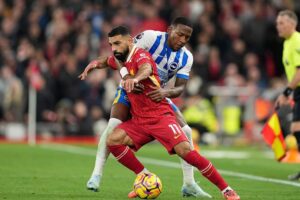 Prediksi Brighton vs Liverpool 20 Mei 2025